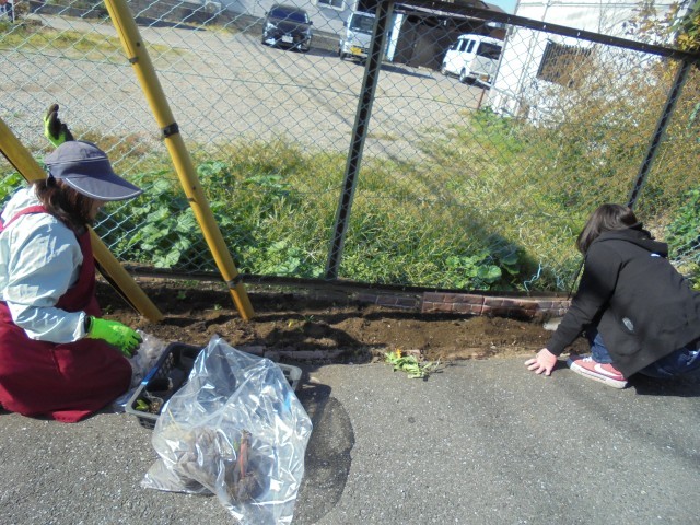 花壇整備ありがとうございます