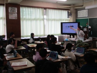 4年生理科（植物）