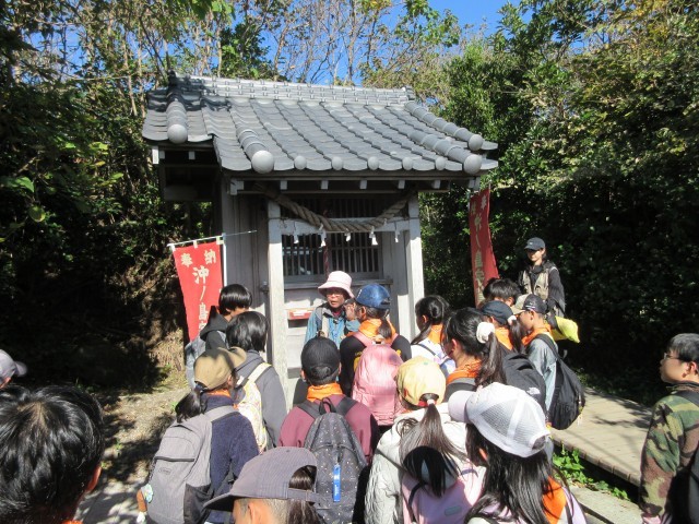 神社の御神木も倒れました