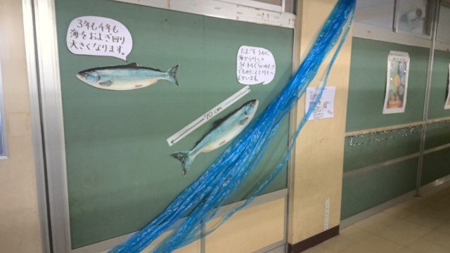 さけが大きくなるまで