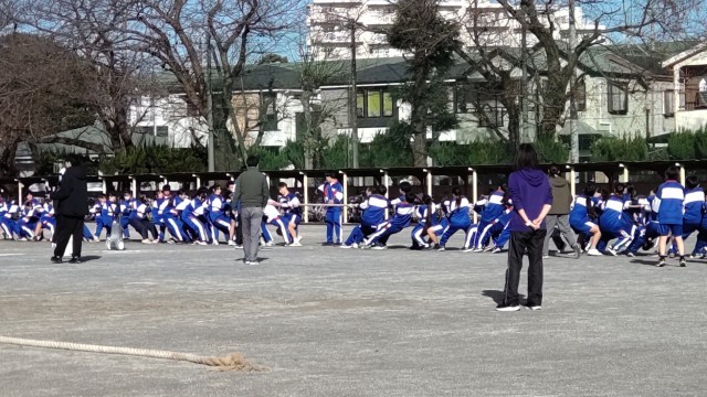 ②綱引き大会